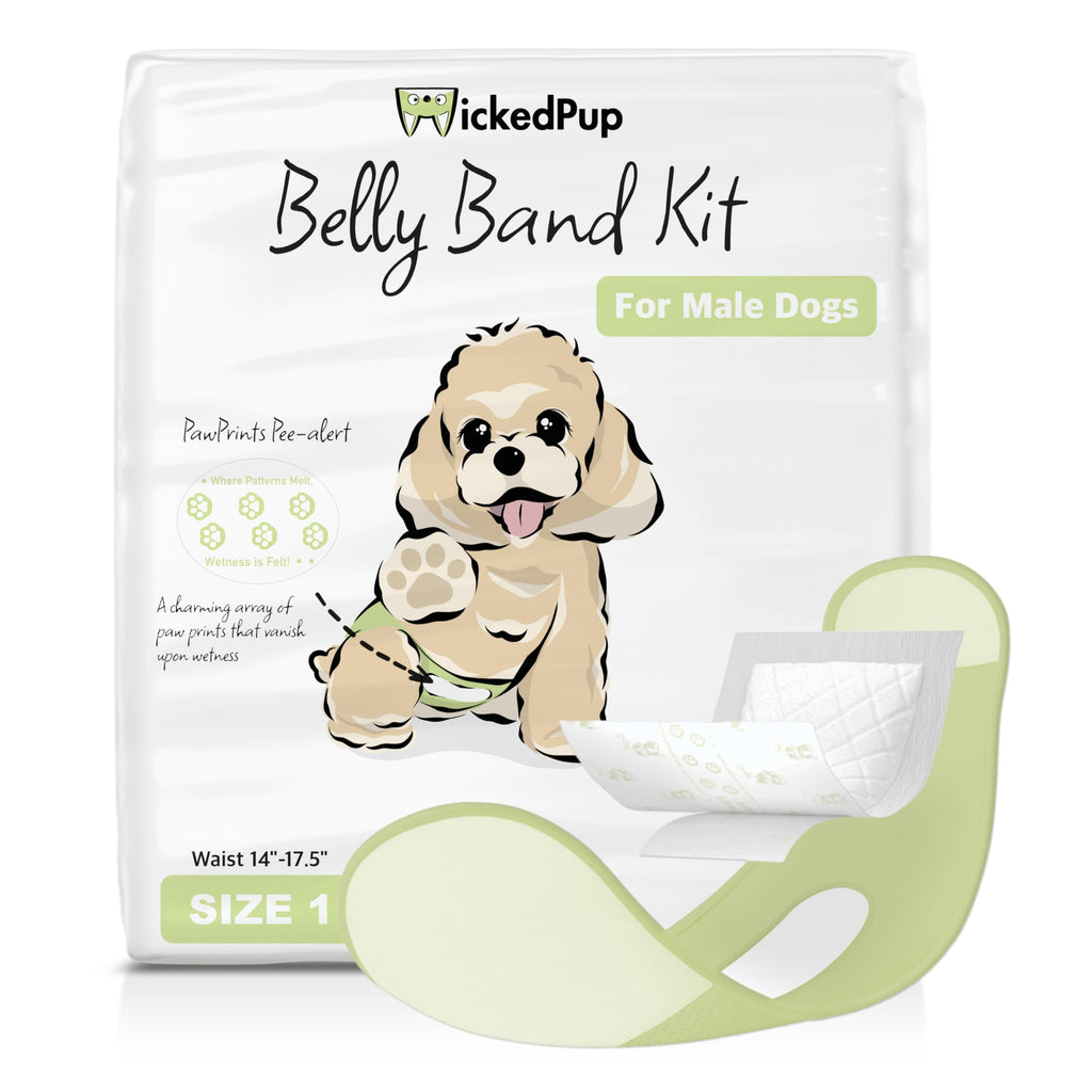 WICKEDPUP Male Dog Belly Band Kit, 50 Diaper Pads & 1 Reusable Male Wrap (Size 0 (10.5" - 14" Waist)) - Dealqueen