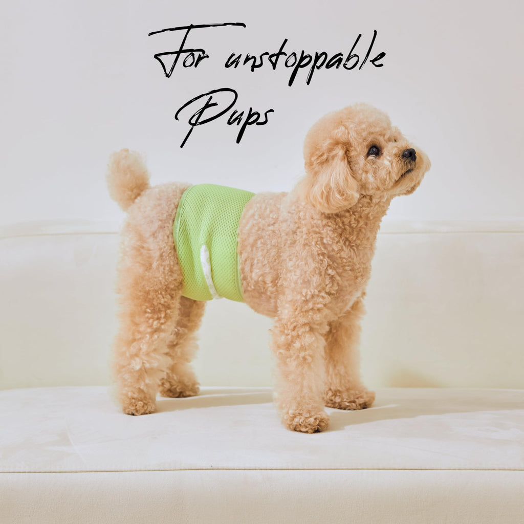 WICKEDPUP Male Dog Belly Band Kit, 50 Diaper Pads & 1 Reusable Male Wrap (Size 0 (10.5" - 14" Waist)) - Dealqueen