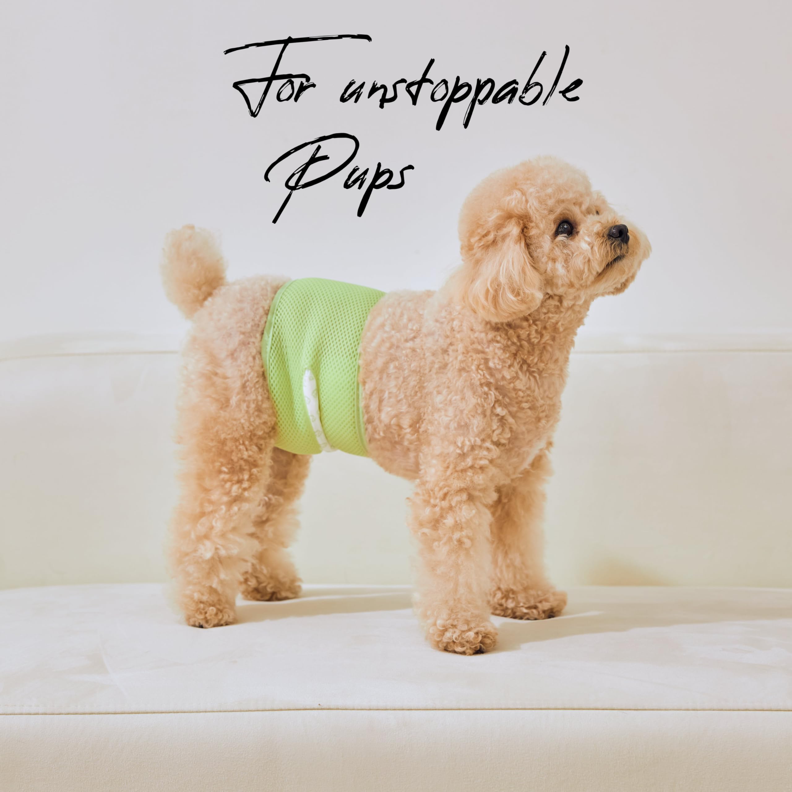WICKEDPUP Male Dog Belly Band Kit, 50 Diaper Pads & 1 Reusable Male Wrap (Size 0 (10.5" - 14" Waist)) - Dealqueen