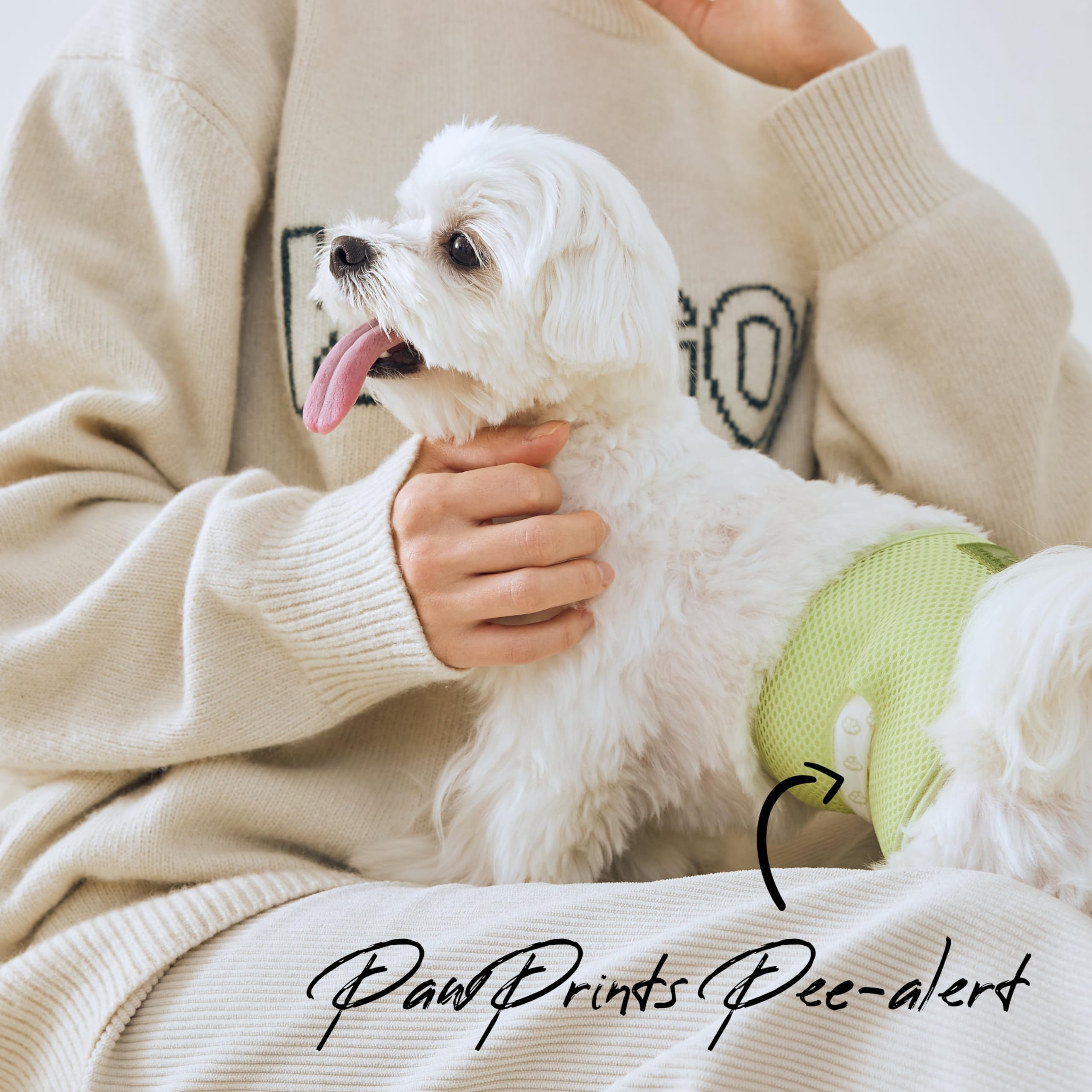 WICKEDPUP Male Dog Belly Band Kit, 50 Diaper Pads & 1 Reusable Male Wrap (Size 0 (10.5" - 14" Waist)) - Dealqueen