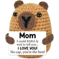 Graduation Gift for Him Her 2026 College Graduation Gifts for Women Men Boys Girls Graduates Gift for Kindergarten Preschool High School Masters Degree Grad Gift Handmade Crochet Graduation Capybara - Dealqueen