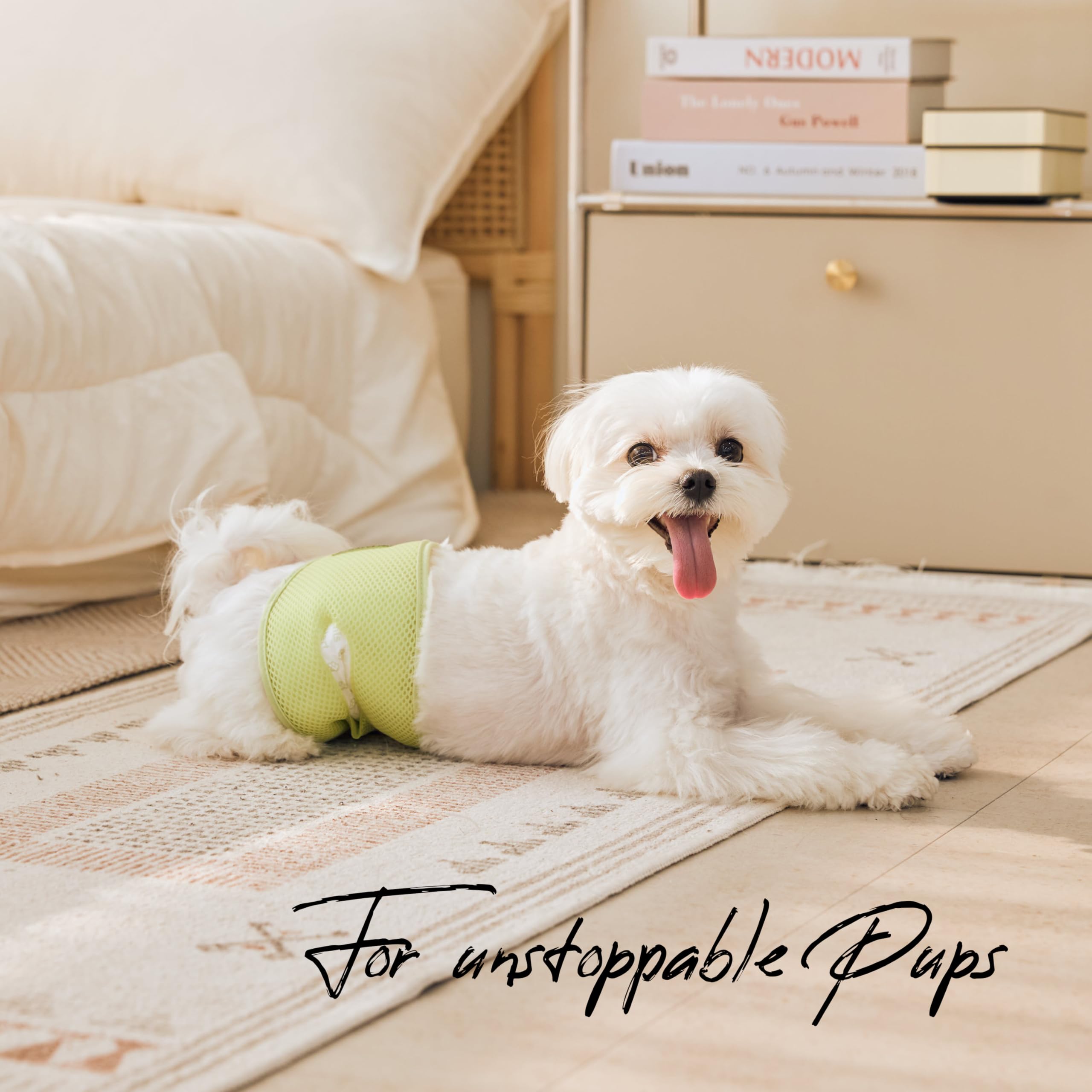 WICKEDPUP Male Dog Belly Band Kit, 50 Diaper Pads & 1 Reusable Male Wrap (Size 0 (10.5" - 14" Waist)) - Dealqueen