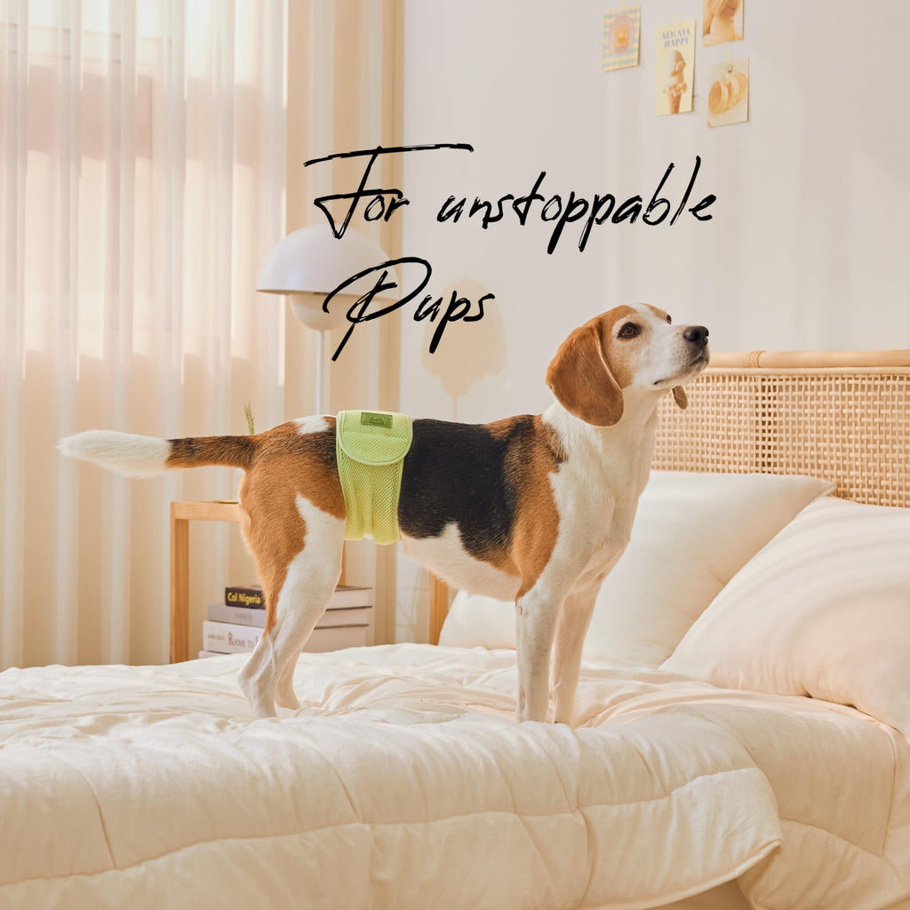 WICKEDPUP Male Dog Belly Band Kit, 50 Diaper Pads & 1 Reusable Male Wrap (Size 0 (10.5" - 14" Waist)) - Dealqueen