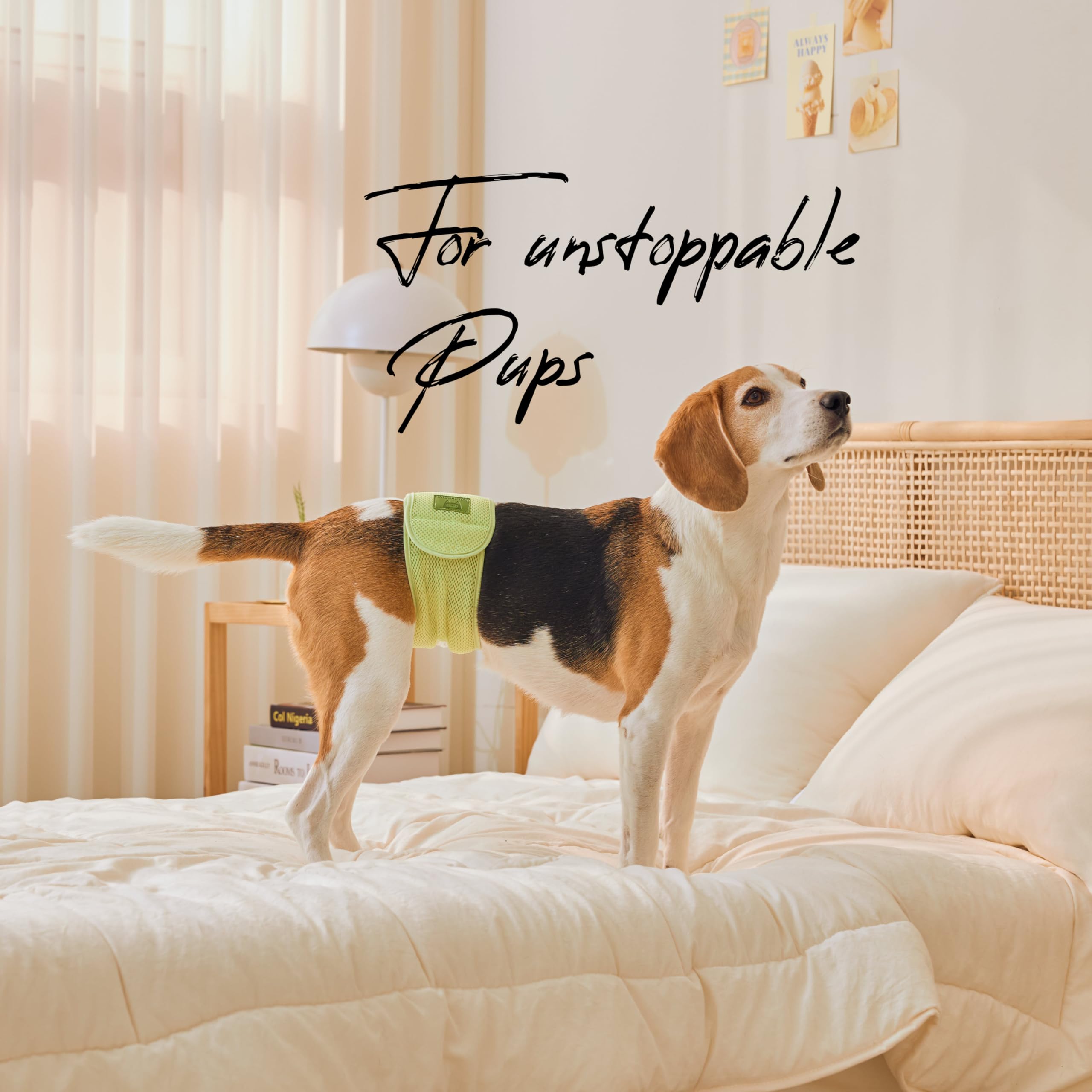 WICKEDPUP Male Dog Belly Band Kit, 50 Diaper Pads & 1 Reusable Male Wrap (Size 0 (10.5" - 14" Waist)) - Dealqueen