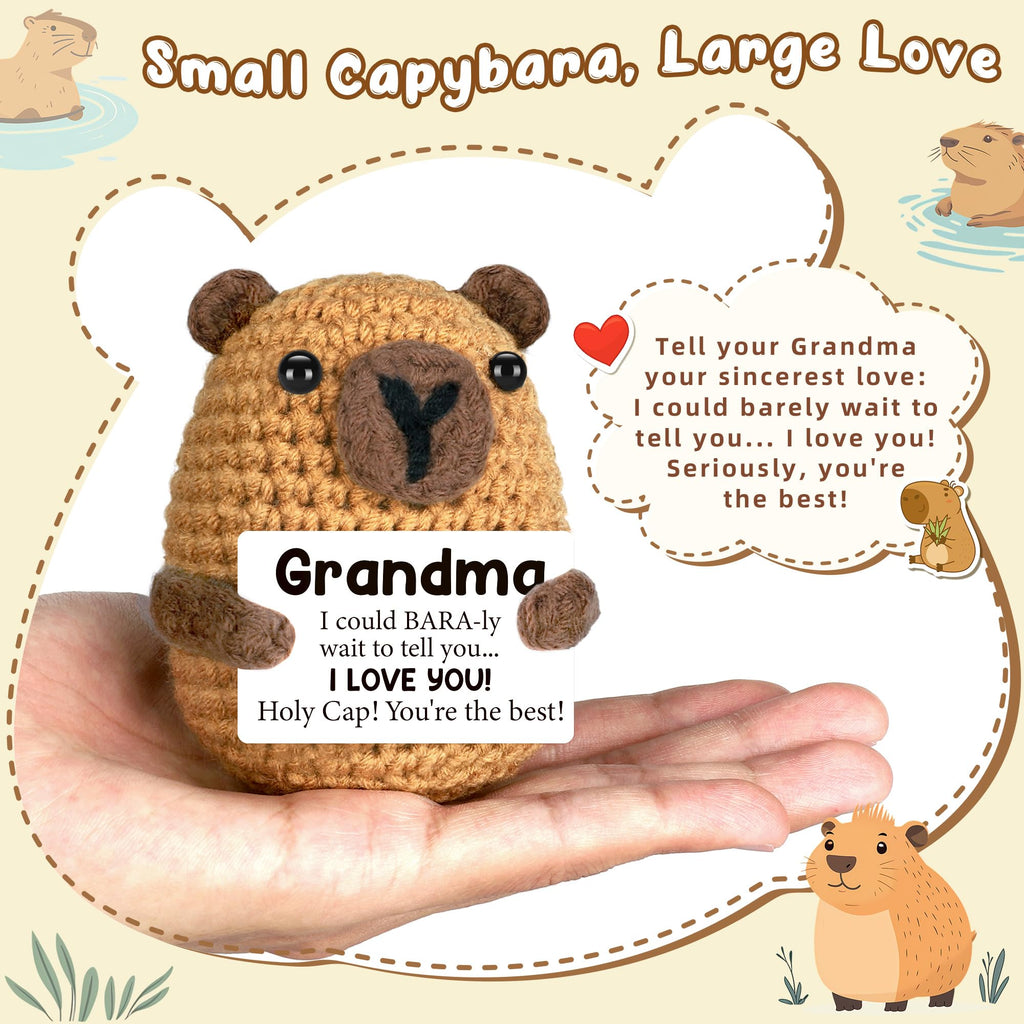 Graduation Gift for Him Her 2026 College Graduation Gifts for Women Men Boys Girls Graduates Gift for Kindergarten Preschool High School Masters Degree Grad Gift Handmade Crochet Graduation Capybara