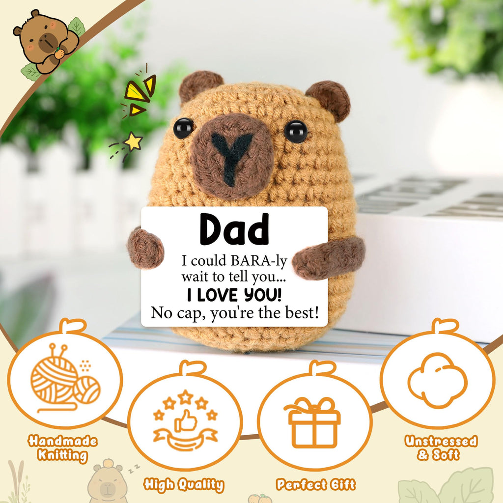Graduation Gift for Him Her 2026 College Graduation Gifts for Women Men Boys Girls Graduates Gift for Kindergarten Preschool High School Masters Degree Grad Gift Handmade Crochet Graduation Capybara - Dealqueen