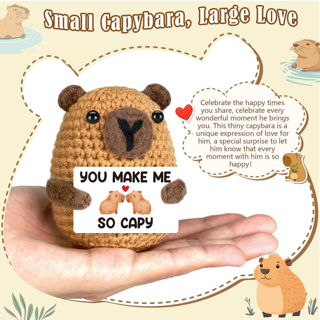 Graduation Gift for Him Her 2026 College Graduation Gifts for Women Men Boys Girls Graduates Gift for Kindergarten Preschool High School Masters Degree Grad Gift Handmade Crochet Graduation Capybara - Dealqueen