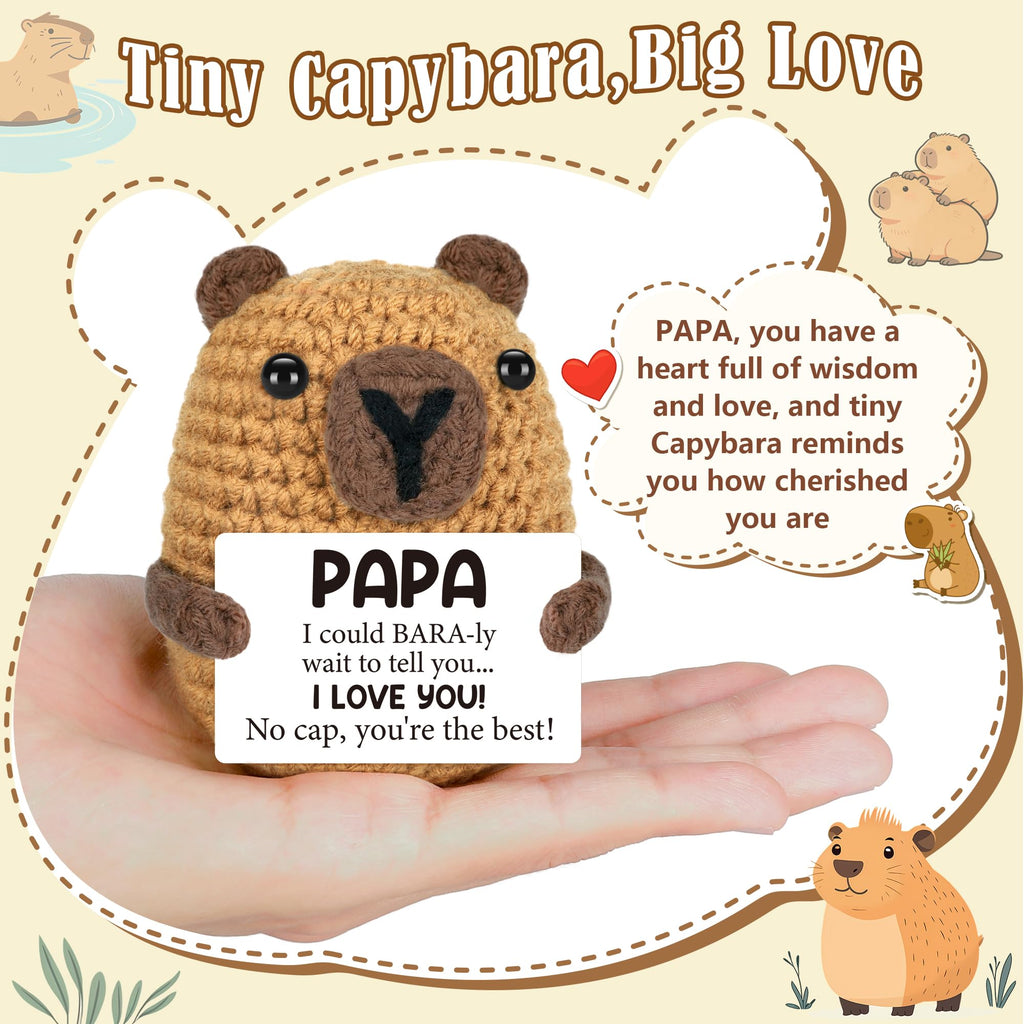 Graduation Gift for Him Her 2026 College Graduation Gifts for Women Men Boys Girls Graduates Gift for Kindergarten Preschool High School Masters Degree Grad Gift Handmade Crochet Graduation Capybara - Dealqueen