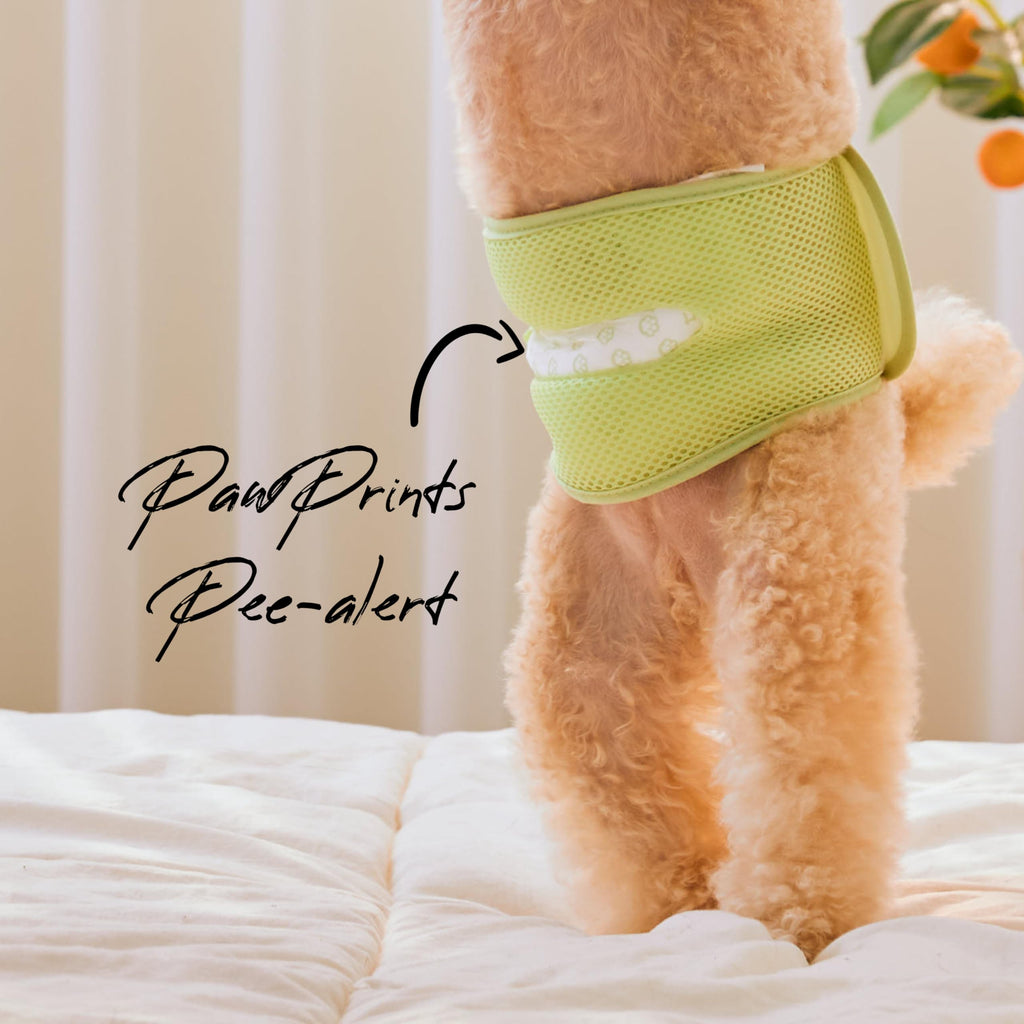 WICKEDPUP Male Dog Belly Band Kit, 50 Diaper Pads & 1 Reusable Male Wrap (Size 0 (10.5" - 14" Waist)) - Dealqueen