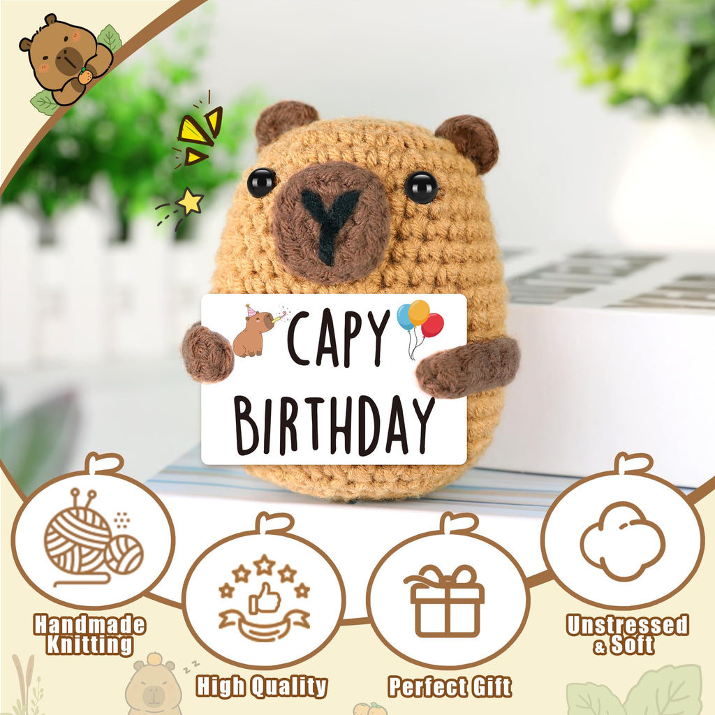 Graduation Gift for Him Her 2026 College Graduation Gifts for Women Men Boys Girls Graduates Gift for Kindergarten Preschool High School Masters Degree Grad Gift Handmade Crochet Graduation Capybara - Dealqueen