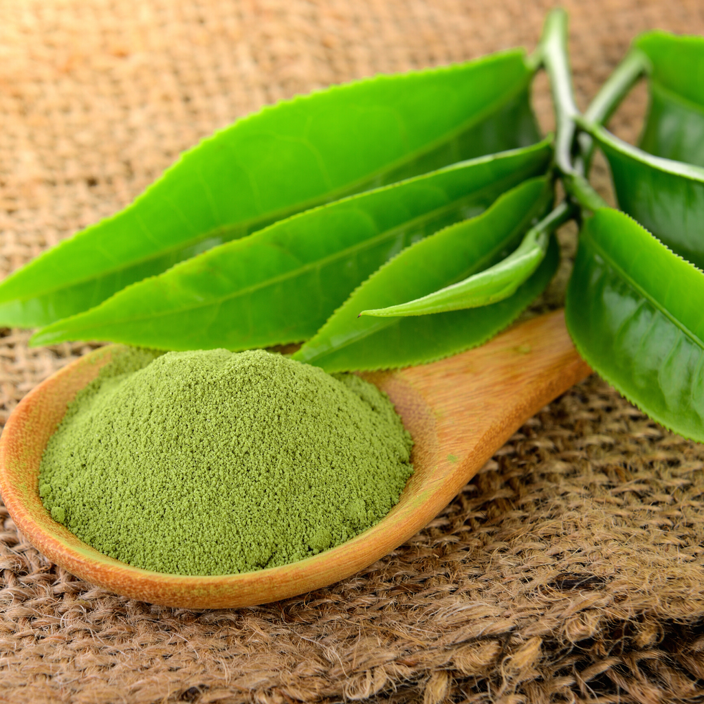 Tega Japanese Matcha 40g | Organic - Dealqueen